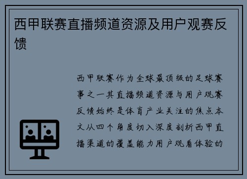 西甲联赛直播频道资源及用户观赛反馈