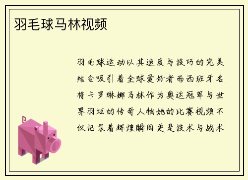 羽毛球马林视频
